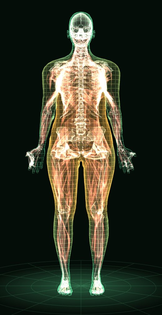 Cuerpo mujer en 3D: todas las capas