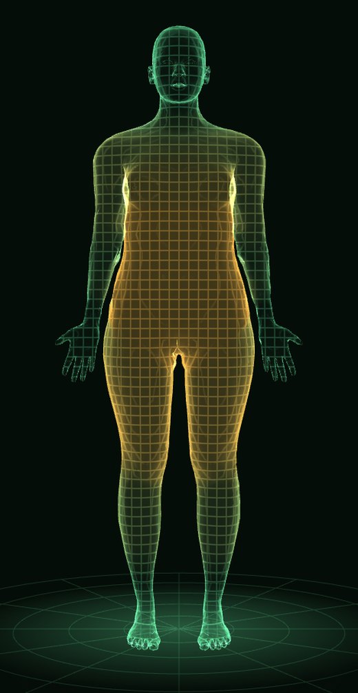 Cuerpo mujer en 3D: piel y mapa de grasa, hoy